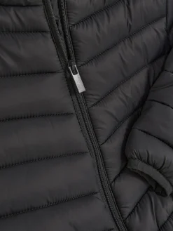 Primark Abrigos Y Chaquetas|Chaqueta Acolchada Con Cremallera