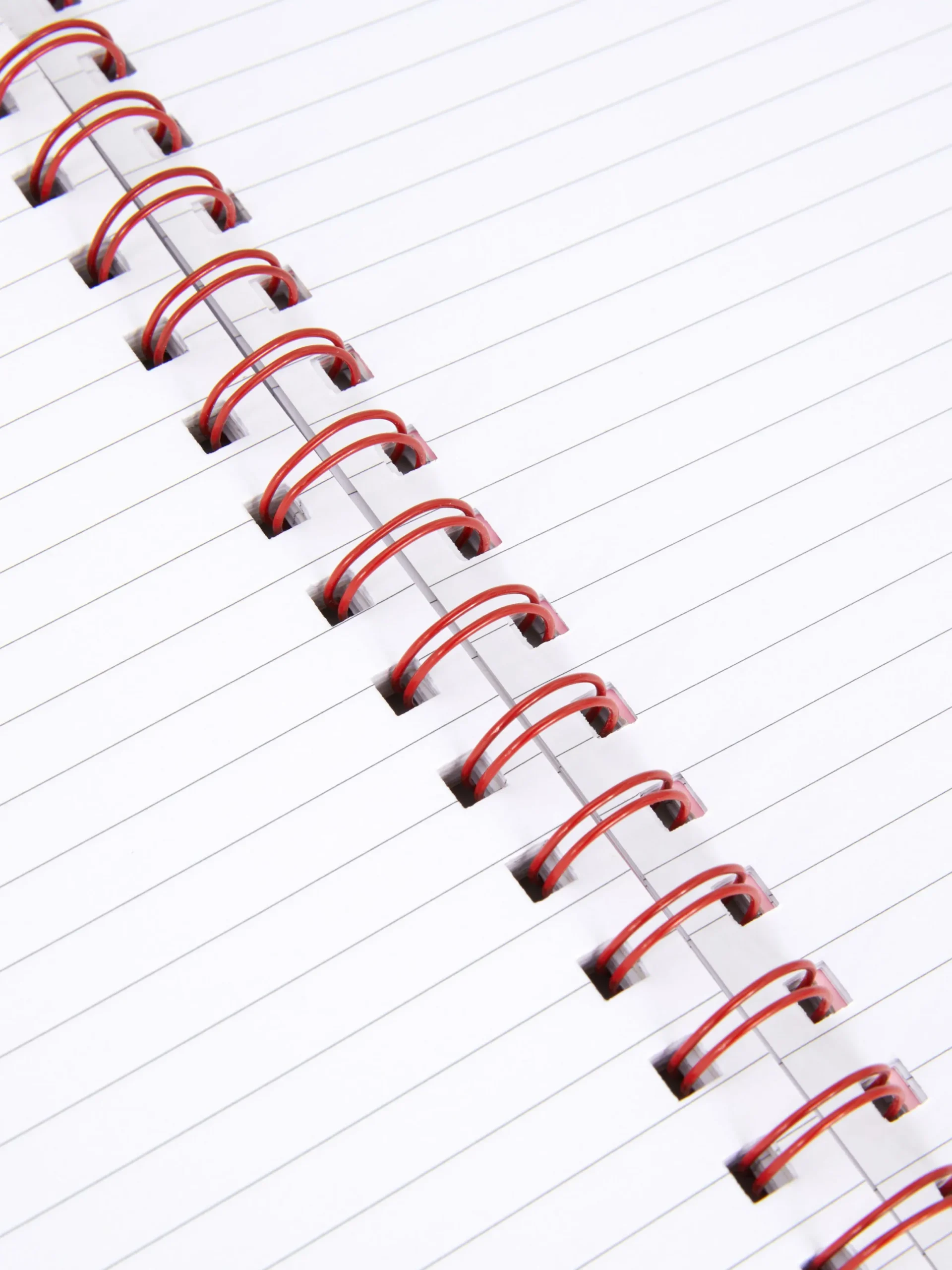 Niños Primark Cuadernos|Cuaderno Tamaño A5 Con Diseño Floral