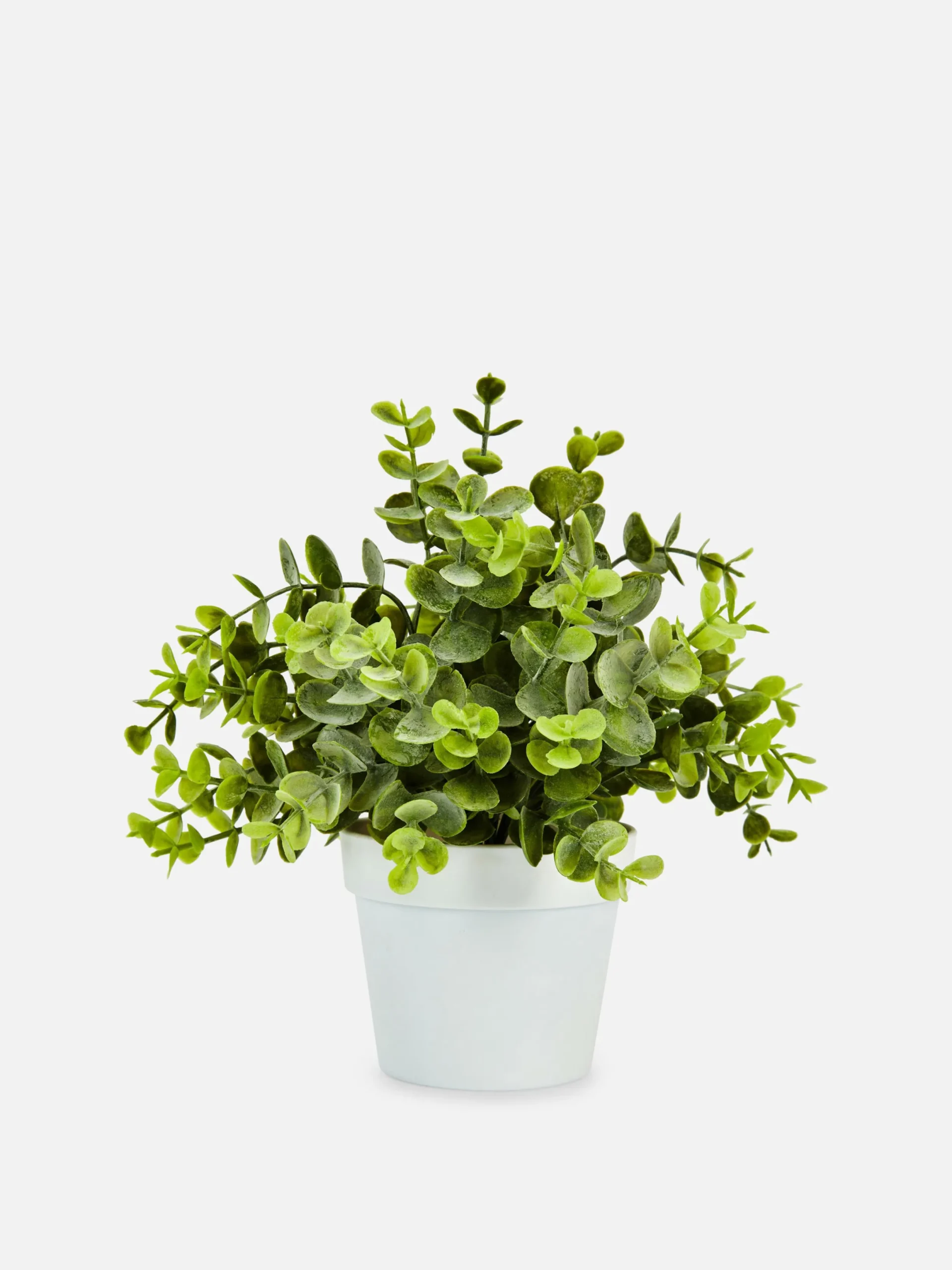 Primark Plantas Y Flores Artificiales|Pequeña Planta De Eucalipto Artificial