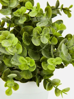 Primark Plantas Y Flores Artificiales|Pequeña Planta De Eucalipto Artificial