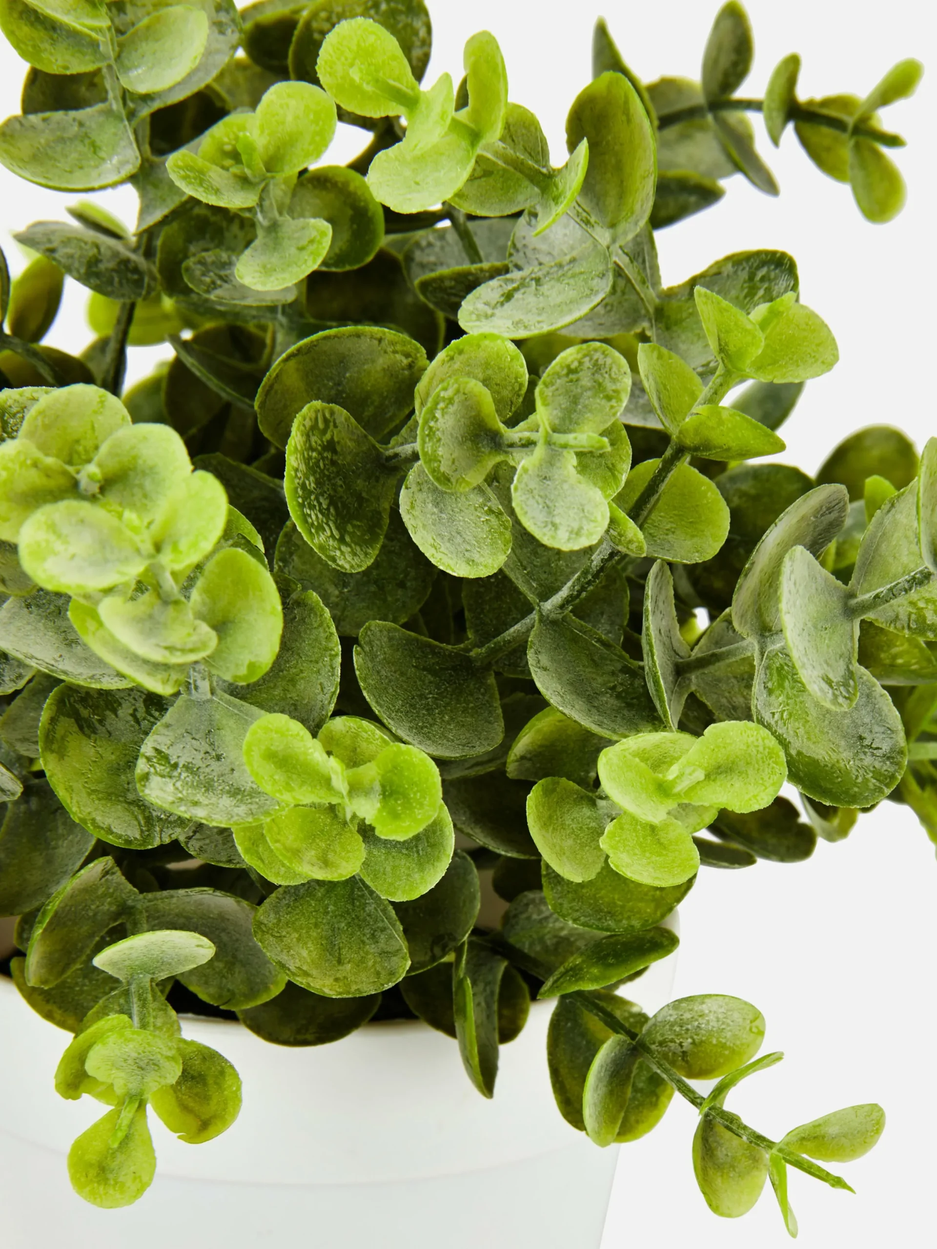 Primark Plantas Y Flores Artificiales|Pequeña Planta De Eucalipto Artificial
