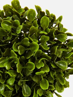 Primark Plantas Y Flores Artificiales|Suculenta Artificial En Maceta