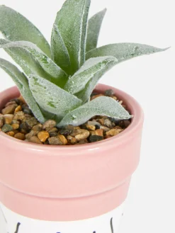 Primark Plantas Y Flores Artificiales|Suculenta Artificial En Un Colorido Macetero